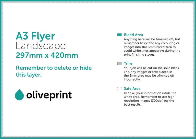 Flyers & Leaflets: A3 – Landscape / Double Sided artwork template preview
