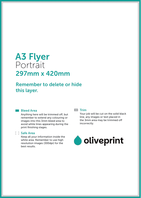 Flyers & Leaflets: A3 – Portrait / Double Sided artwork template preview