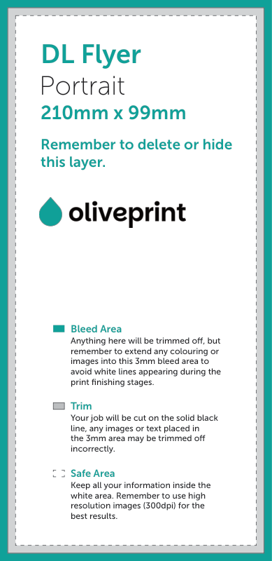 Flyers & Leaflets: DL – Portrait / Single Sided artwork template preview