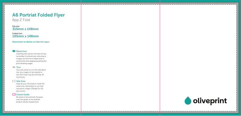 Folded Flyers & Leaflets: 315 x 148.5mm Unfolded – 6pp A6 Portrait (Z Fold) artwork template preview