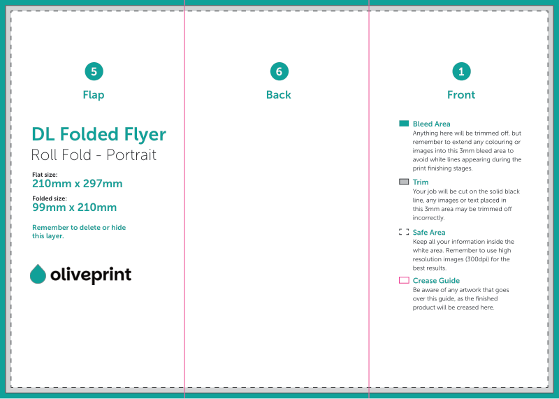 Folded Flyers & Leaflets: A4 (297 x 210mm) Unfolded – 6pp DL (Roll Fold) artwork template preview