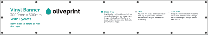 Vinyl Banners: 3000mm – 3000 X 500 artwork template preview